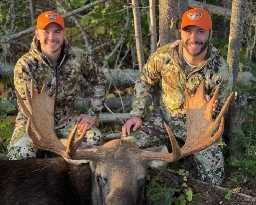 Maine Moose hunting Bull moose zone 4